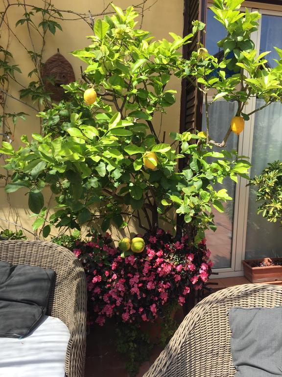 Terrazza Duomo Bed and Breakfast Napels Buitenkant foto